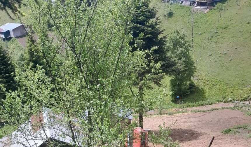 Kamyonet şarampole yuvarlandı; sürücü öldü, eşi ağır yaralandı