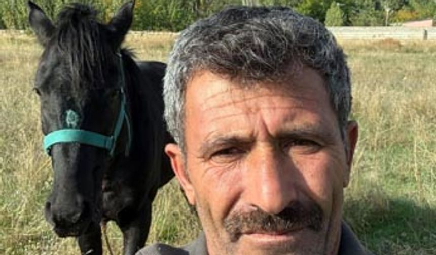 Kaybolan atını duvarlara astığı afişlerle arıyor