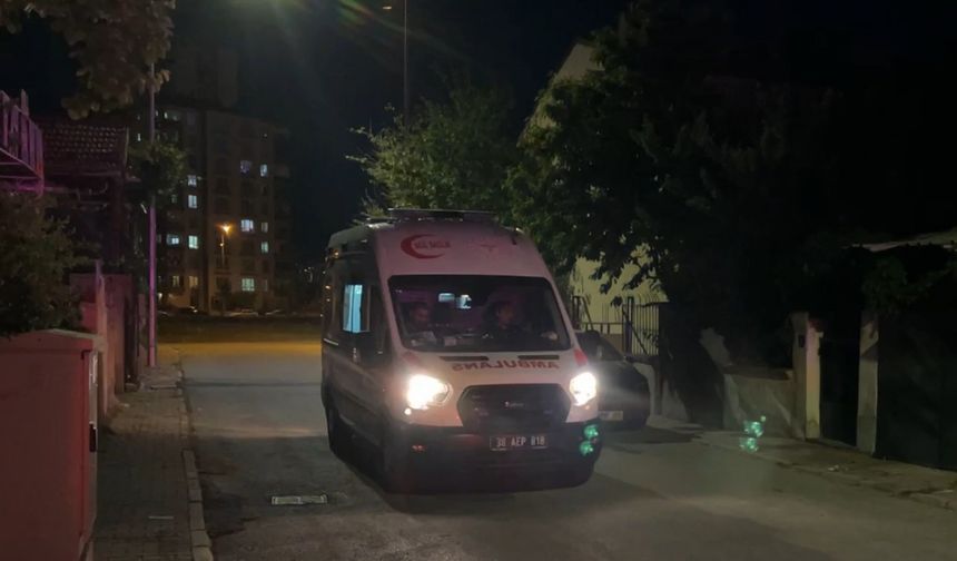 Kayseri'de sahipli köpek tarafından ısırılan çocuk yaralandı