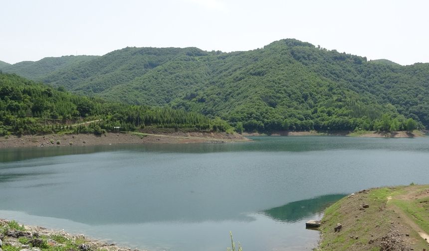 Kocaeli’nin su ihtiyacını karşılayan barajda beklenen yükseliş olmadı