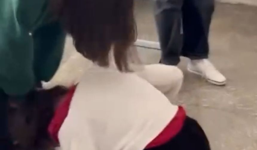 Liseli Elif'e 'akran zorbalığı' olayında 7 tutuklama