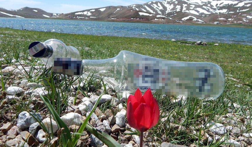 Mangalcının çöpü, driftçinin lastik izinin harap ettiği yayla, bu bahar çiçeksiz kaldı