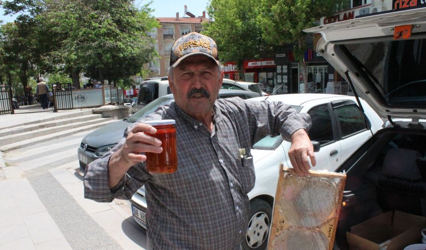 Otomobilden bal hırsızlığı kamerada