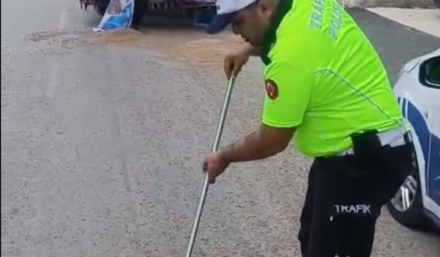 Polis, traktörden düşerek yola saçılan kuzu yemlerini topladı