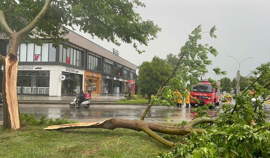 Sakarya'da iki mevsim bir arada; sağanak ve fırtına sonrası güneşli hava