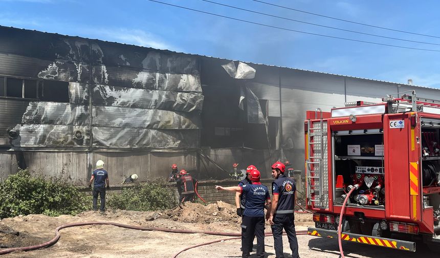 Sakarya'da kontrplak üretim tesisinde yangın