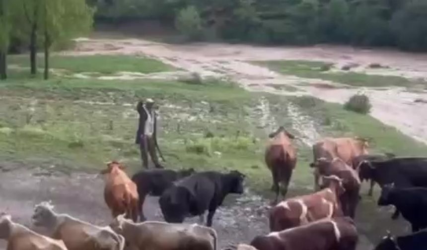 Sivas'ta sağanak sele neden oldu