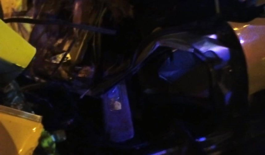 Taksi, ağaçlara ve elektrik direğine çarptı: 2 ölü