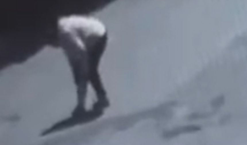 Tekirdağ'da sokak köpeğinin ısırdığı kadın yaralandı; o anlar kamerada