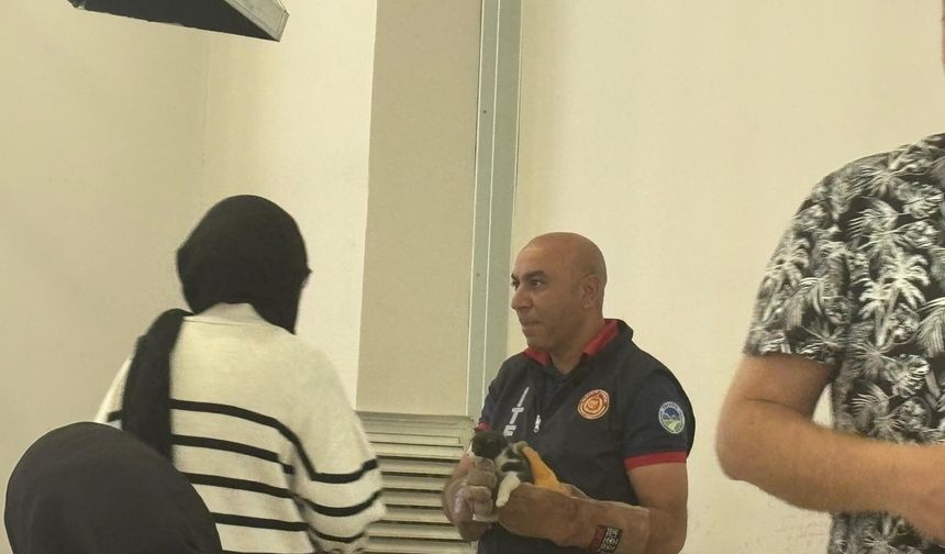 Üniversite kütüphanesinde kedi kurtarma operasyonu