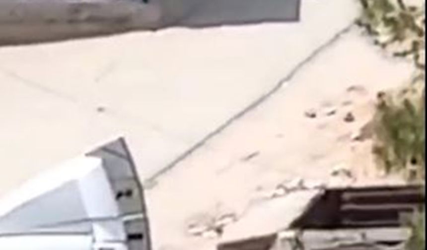 Akraba ailelerin silahlı 'arazi' kavgası: 1 ölü, 10 yaralı (3)