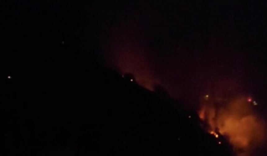 Aydın'da orman yangını (4)