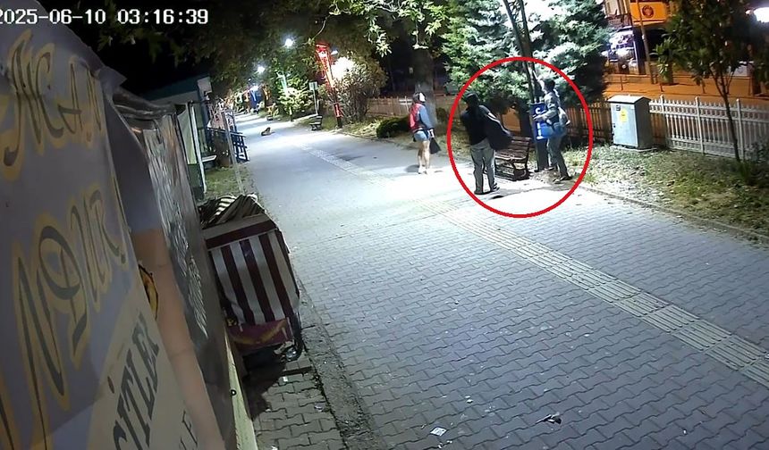 Aydınlatma direklerindeki LED ışıkları söküp, 300 bin TL'lik zarar verdi: o anlar kamerada