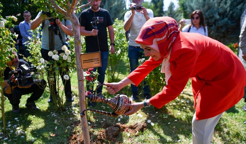 Bakan Göktaş, kadın kooperatifinde hamur açtı (3)