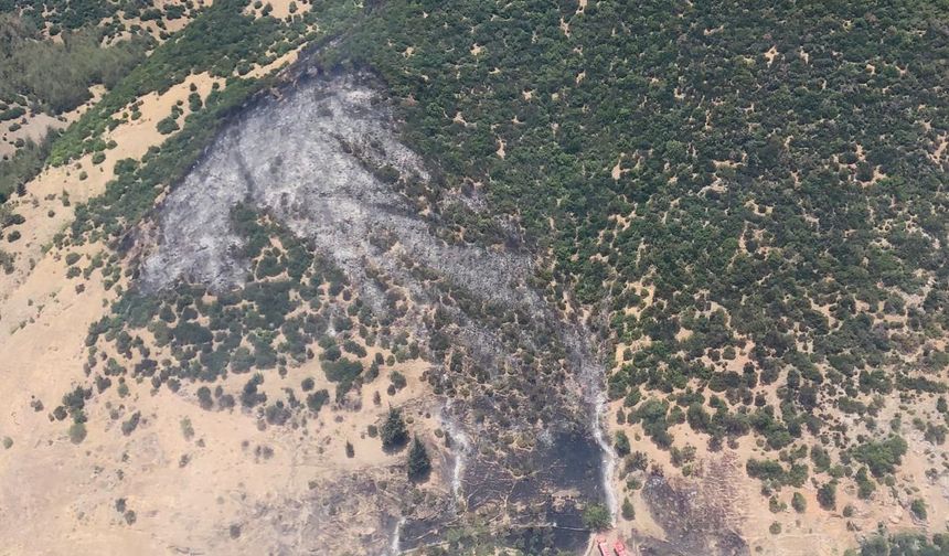 Gaziantep’te orman yangını 2,5 saatte söndürüldü