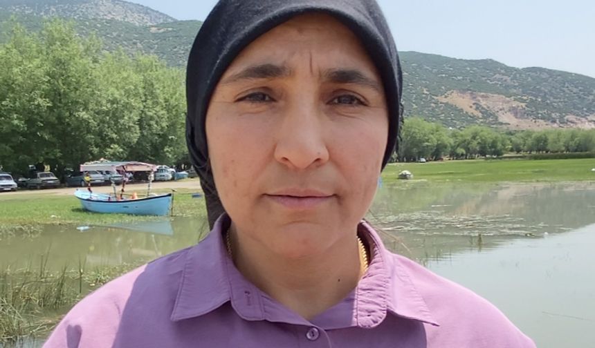 Işıklı Gölü’nde 'nilüfer' turizmi