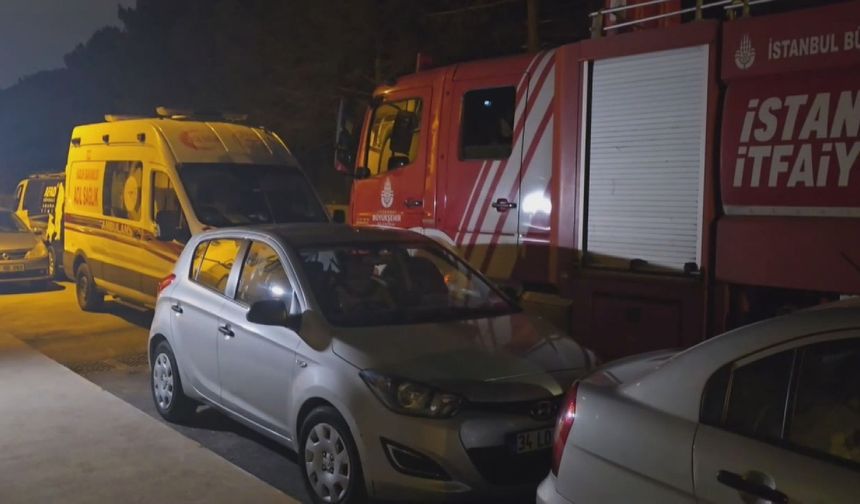 İstanbul - Pendik'te ormanda kaybolan kişi için arama çalışması / Geniş haber