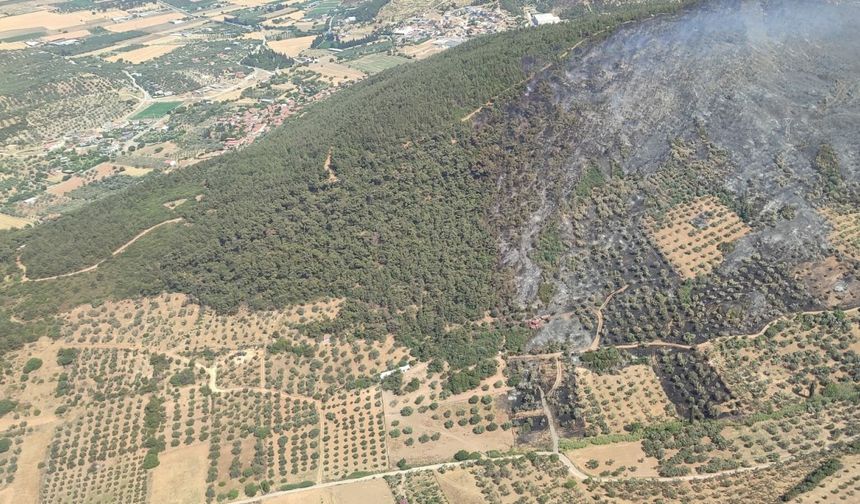 İzmir'de orman yangını; 4 gözaltı (5)