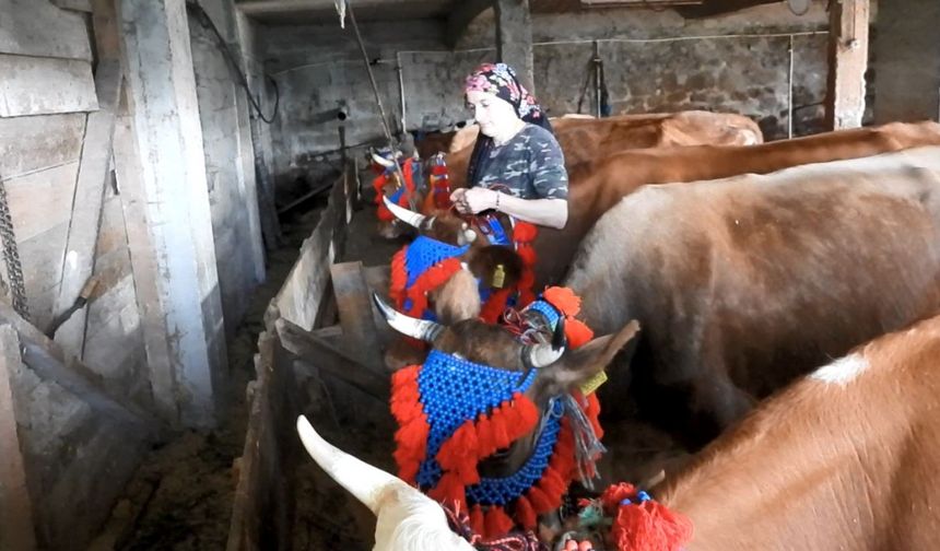 Karadeniz’de türkülü manili renkli yayla göçü