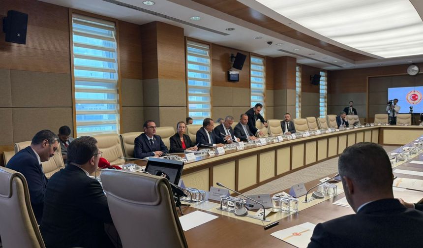 Kartalkaya Otel Yangınını Araştırma Komisyonu, rapor öncesi son kez toplandı