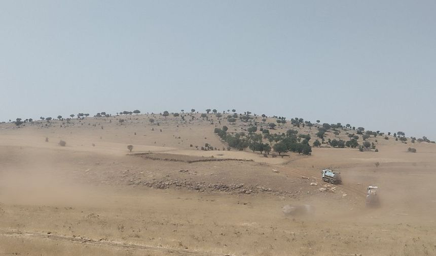 Mardin'de orman yangını (2)