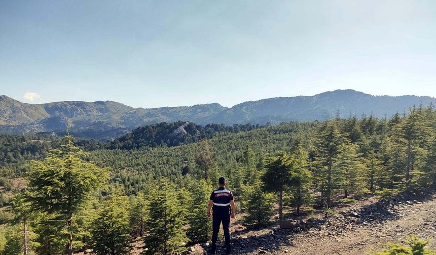 Muğla'da ormanlara girişler yasaklandı