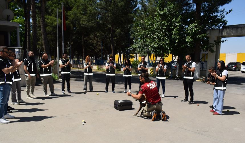 Sağlık sorunları nedeniyle emekli edilen 'Linda' için pasta kesildi