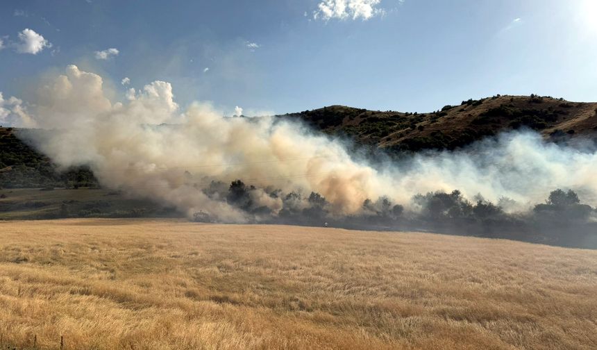 Bitlis'te örtü yangını söndürüldü