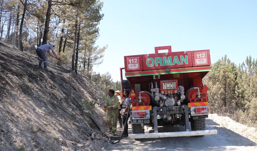 Eskişehir'de çıkıp, Afyonkarahisar'a sıçrayan yangın kontrol altında