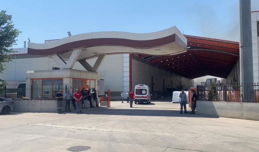 Fabrika bahçesindeki palet yangınında 4 kişi dumandan etkilendi