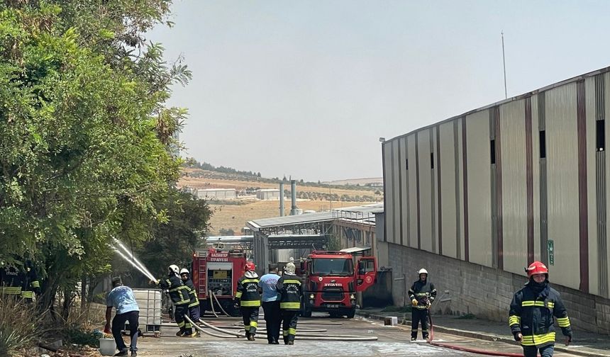 Gaziantep'te halı fabrikasında yangın