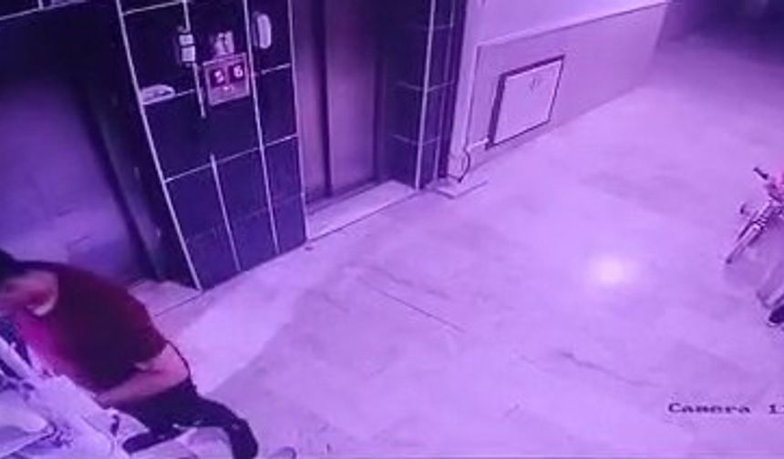 Kediyi yere fırlatan şüpheliye gözaltı