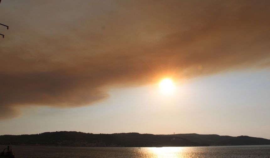 Tekirdağ'da orman yangını; alevler Çanakkale sınırına geçti (7)