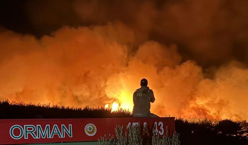 Tekirdağ'da orman yangını; alevler Çanakkale sınırına geçti/ Ek fotoğraflar