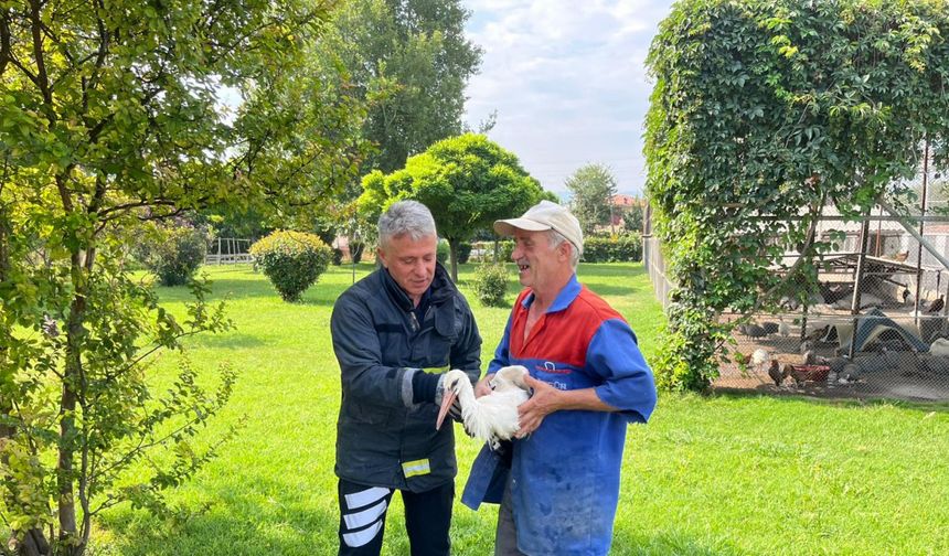 Tokat- Verandadan düşen tek ayağı olmayan leyleği itfaiyeci havada yakaladı /Video eklendi