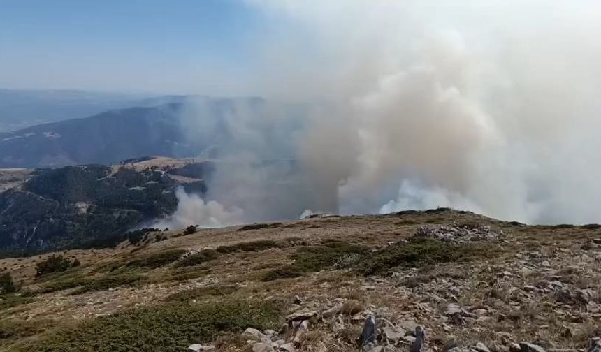 Amasya'da orman yangını