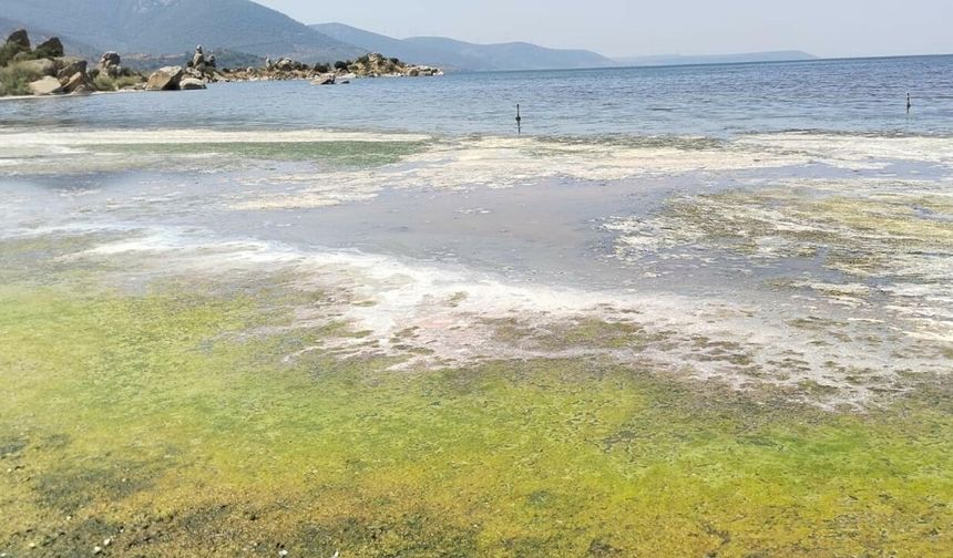 Bafa Gölü ve çevresinde kirlilik alarmı