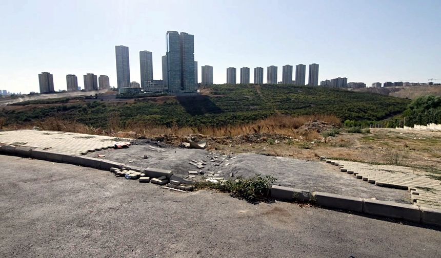 İstanbul- Avcılar'da kaldırım taşı hırsızlığı kamerada