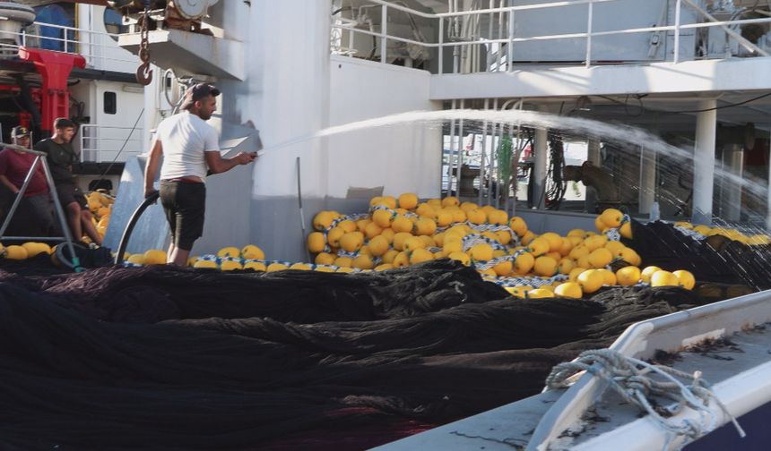 İstanbul - Balıkçılar 1 Eylül'deki yeni av sezonundan umutlu: 'Hamsi lüfer çinekop bol olacak'