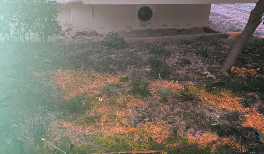 Kedisini yakalamaya çalışırken 5'inci kattan düşüp, yaralandı