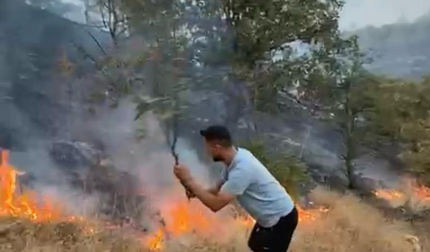 Manisa’da tarladaki yangın, makiliğe sıçradı