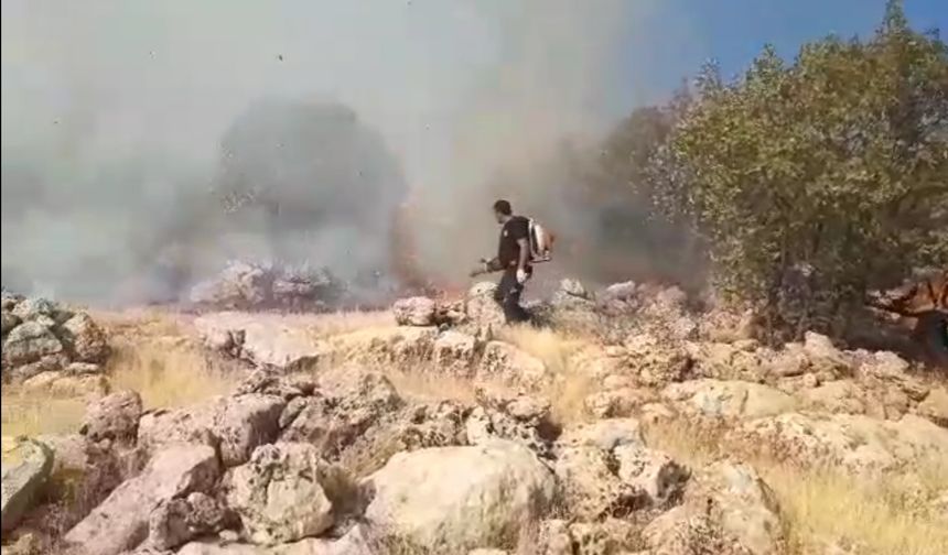 Mardin'deki örtü yangını 5 saatte söndürüldü