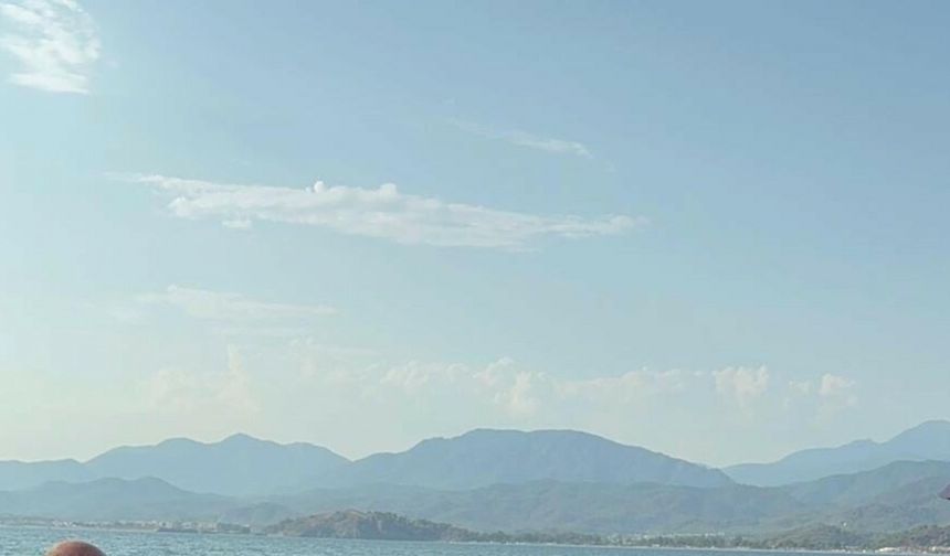 Muğla’da tekne pervanesi çarpan caretta carettayı sahil güvenlik kurtardı