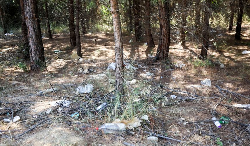 Otizmli çocuklardan yangına karşı orman temizliği