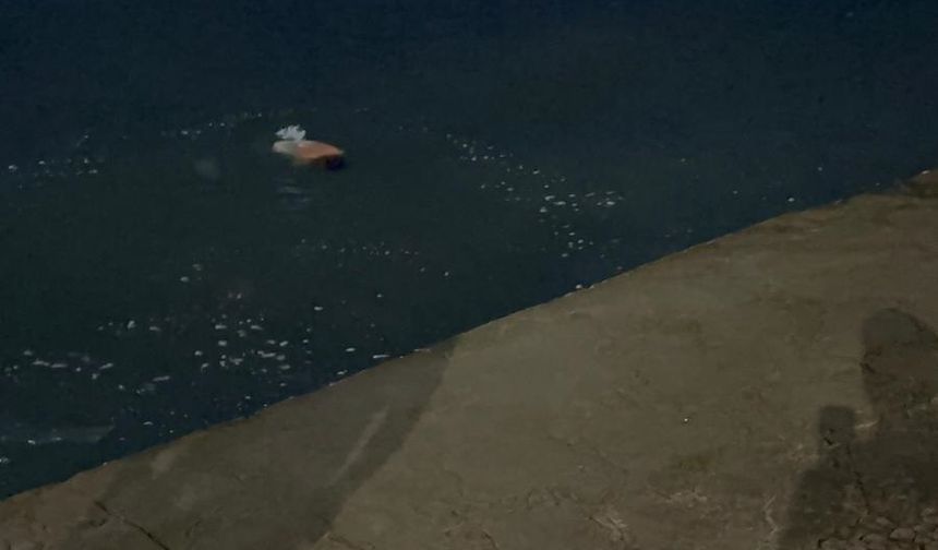 Sahilde alkol aldığı gerekçesiyle ceza kesildikten sonra denize düştü