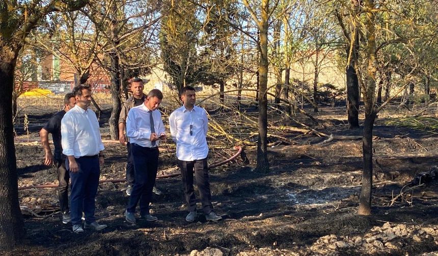 Tekirdağ'daki anız yangını ormana sıçradı; kontrol altında