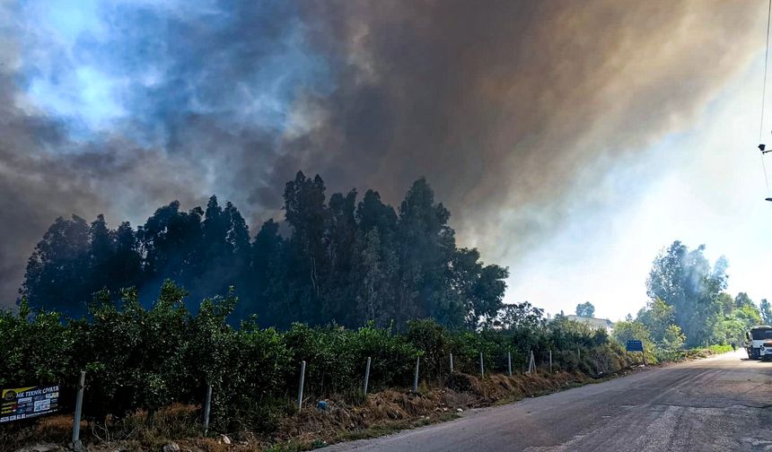 Adana'da geri dönüşüm fabrikasında yangın (2)