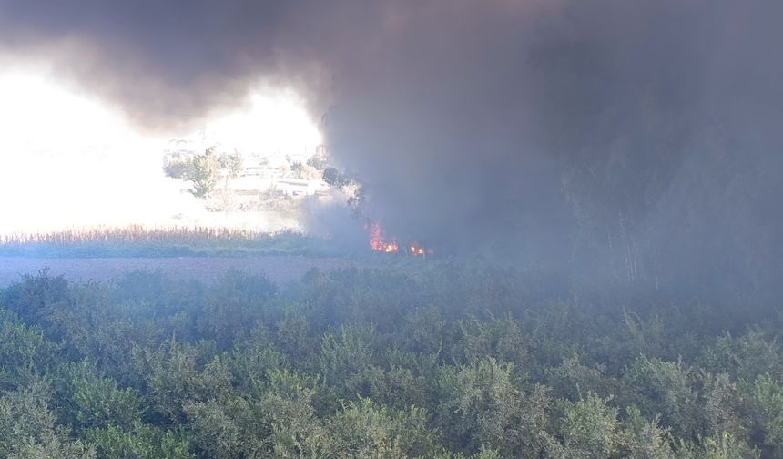 Adana'da geri dönüşüm fabrikasında yangın / Ek fotoğraflar