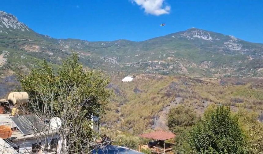Alanya'daki orman yangınlarında 400 hektar alan zarar gördü