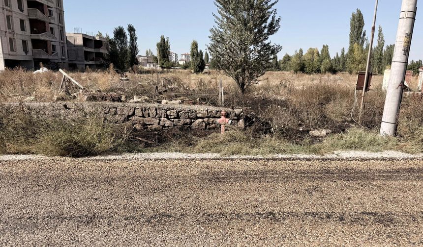 Evinin önündeki ot yangınında yaşamını yitirdi